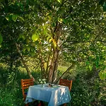 Holiday home Wild Boar - Romantic Getaway *