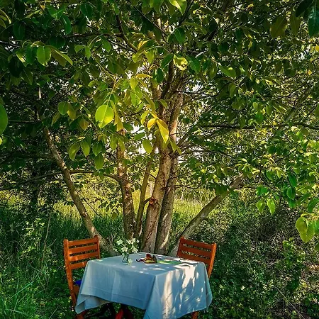 بيت للعطل Wild Boar - Romantic Getaway *