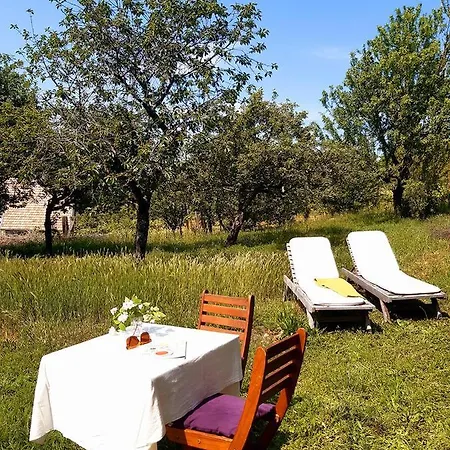 Wild Boar - Romantic Getaway بيت للعطل *