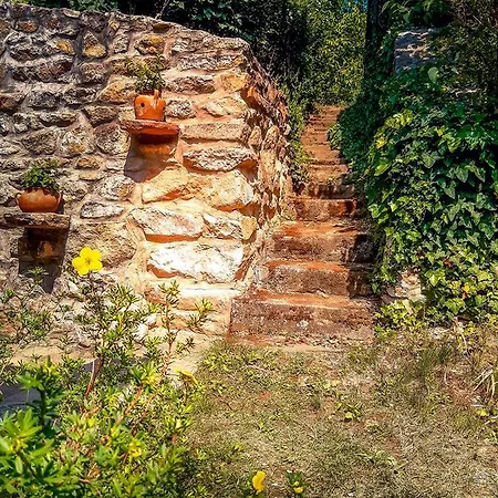 Wild Boar - Romantic Getaway بيت للعطل