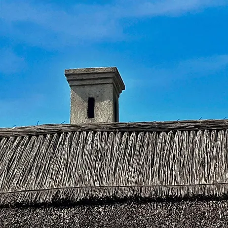 Wild Boar - Romantic Getaway