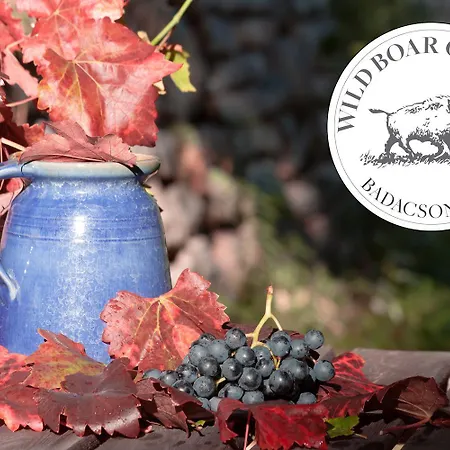 Holiday home Wild Boar - Romantic Getaway Badacsonytomaj