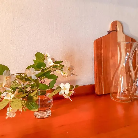 Wild Boar - Romantic Getaway 度假居 包道乔尼托毛伊