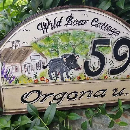 Wild Boar - Romantic Getaway Badacsonytomaj
