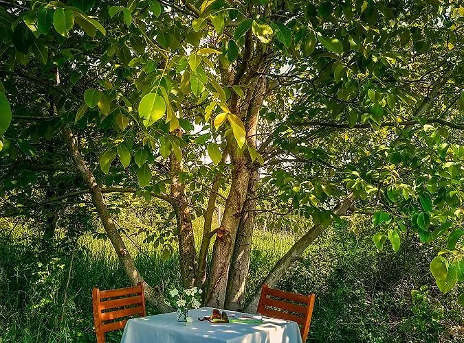 בית נופש Wild Boar - Romantic Getaway *