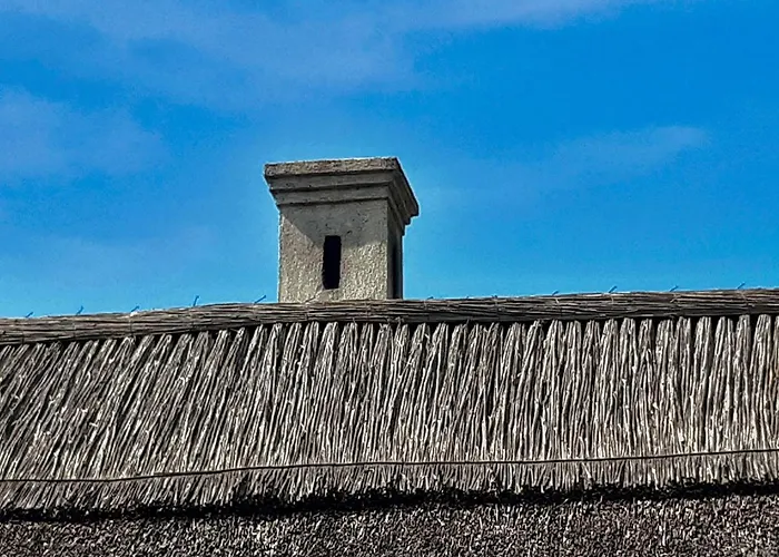 Wild Boar - Romantic Getaway