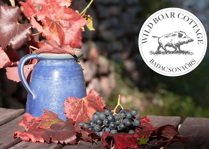 בית נופש Wild Boar - Romantic Getaway בדקסוניטומאי