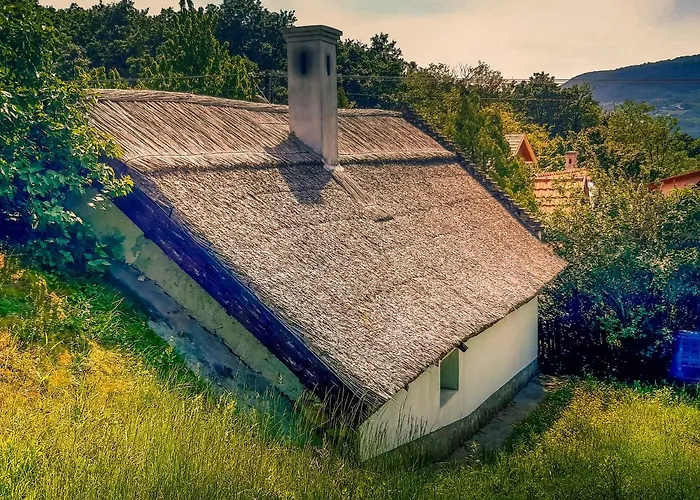 Wild Boar - Romantic Getaway בית נופש *