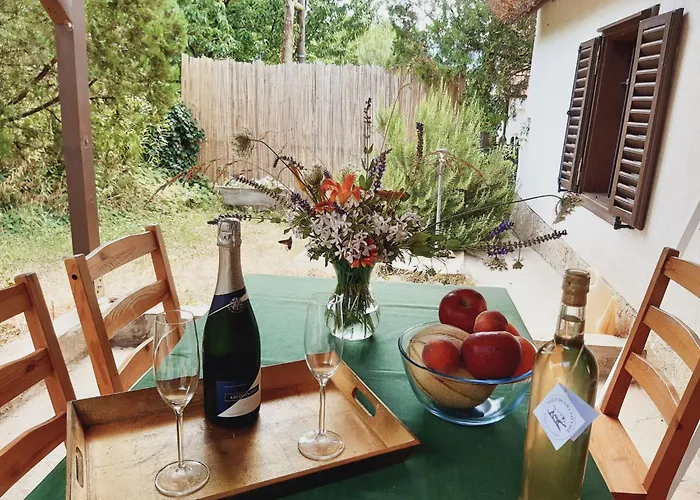 Wild Boar - Romantic Getaway